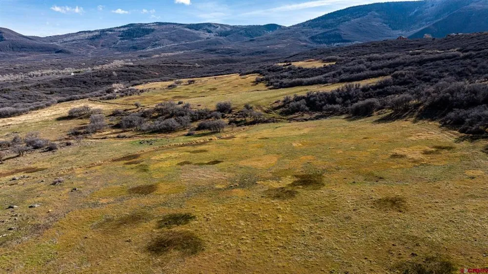 53999 Bull Basin Road Collbran, CO 81643