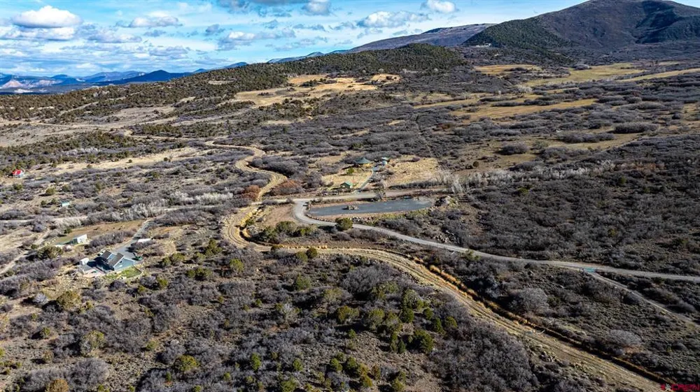 53999 Bull Basin Road Collbran, CO 81643