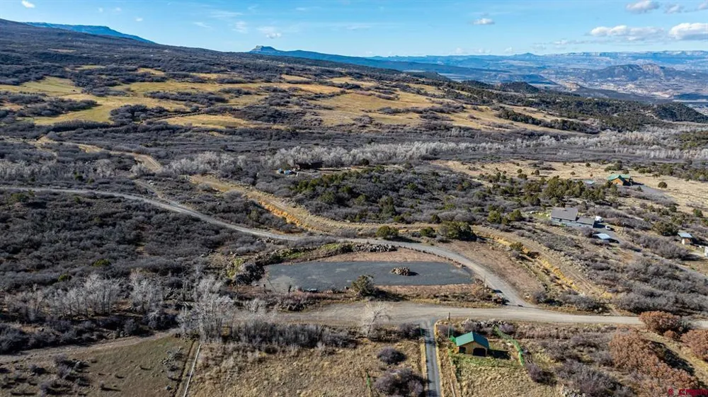 53999 Bull Basin Road Collbran, CO 81643