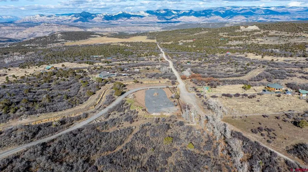 53999 Bull Basin Road Collbran, CO 81643