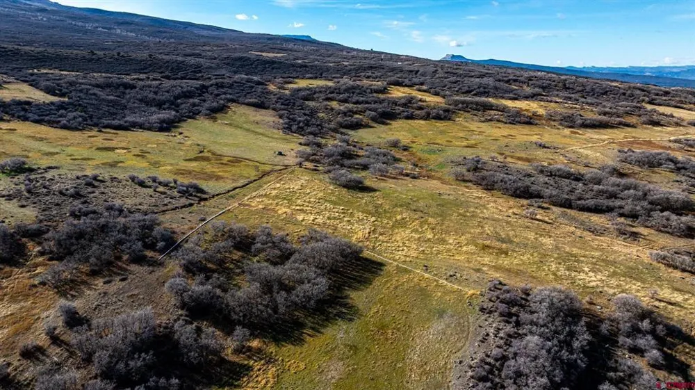 53999 Bull Basin Road Collbran, CO 81643