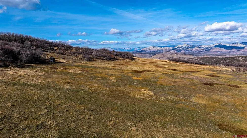 53999 Bull Basin Road Collbran, CO 81643