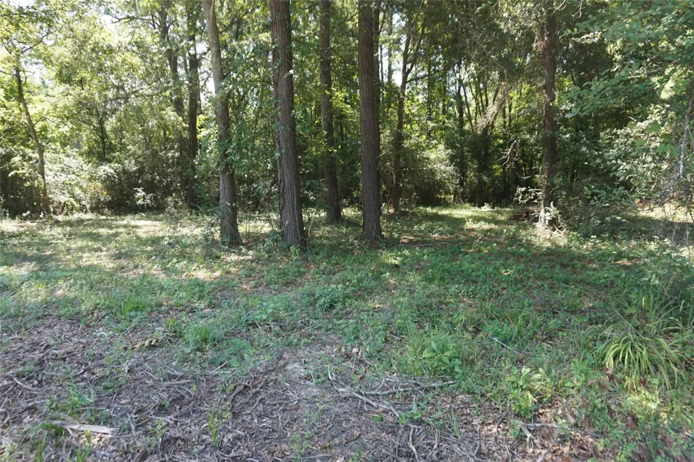 2200 Fm 1485 Huffman, TX 77357