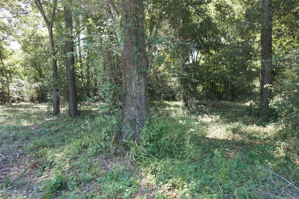 2200 Fm 1485 Huffman, TX 77357