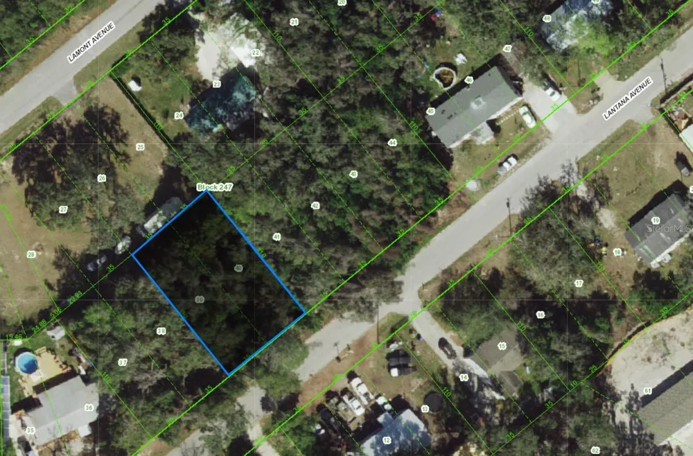 000 LANTANA AVENUE New Port Richey, FL 34654