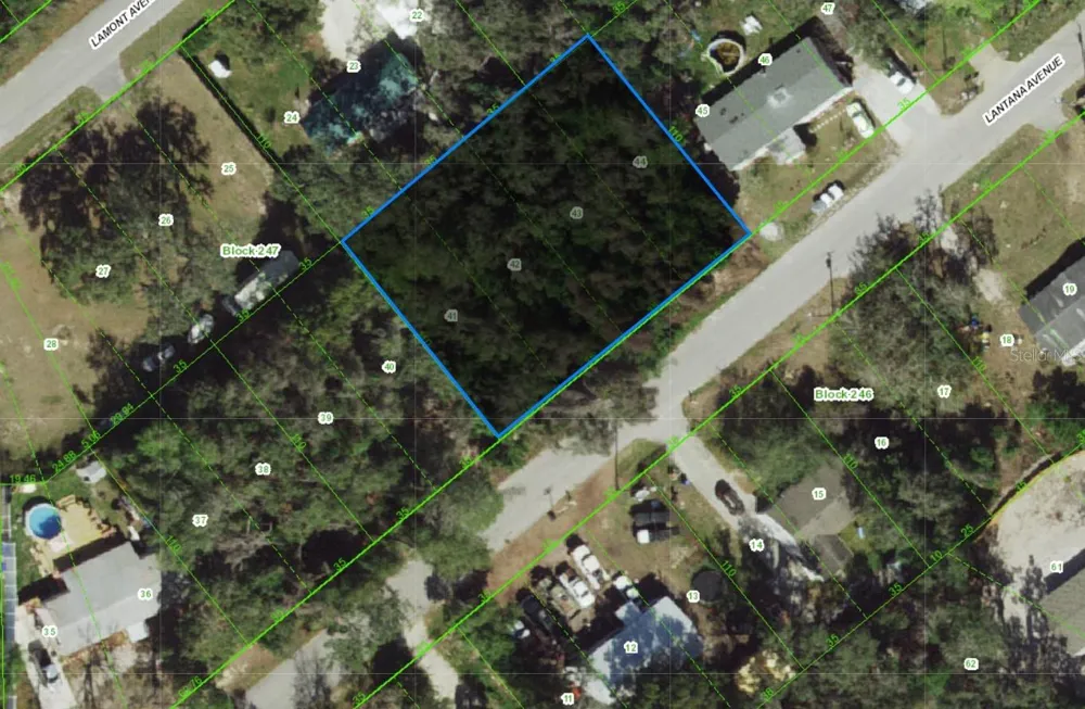 000 LANTANA AVENUE New Port Richey, FL 34654