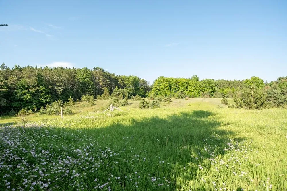 S M-37 Blair Township, MI 49685