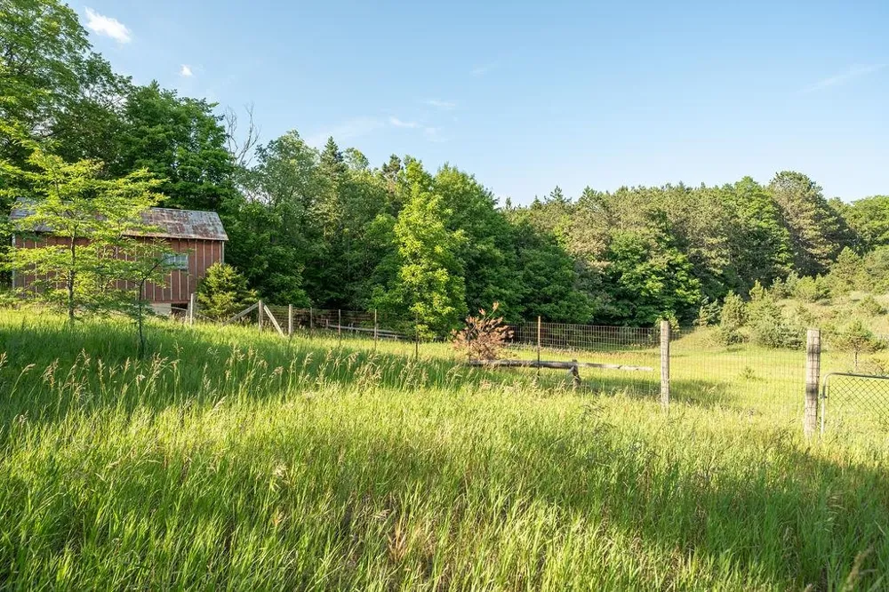 S M-37 Blair Township, MI 49685
