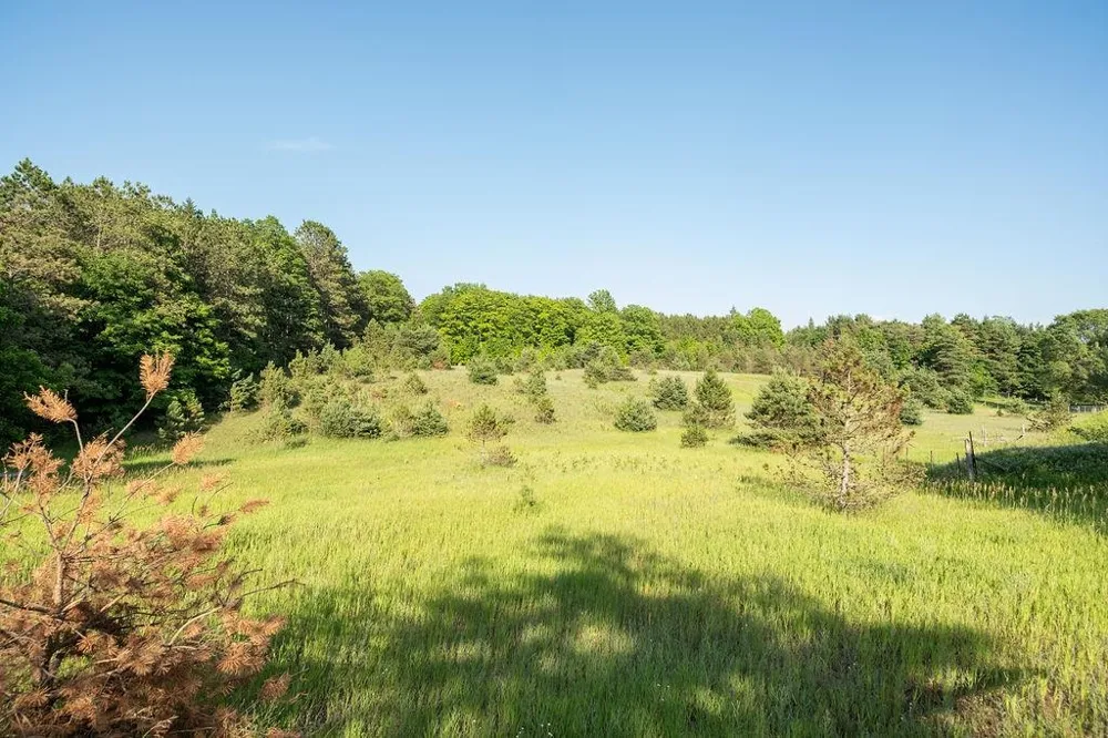 S M-37 Blair Township, MI 49685
