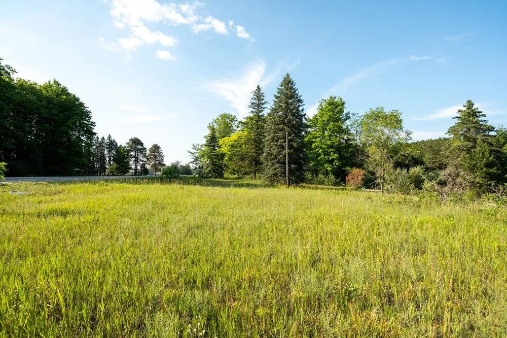 S M-37 Blair Township, MI 49685