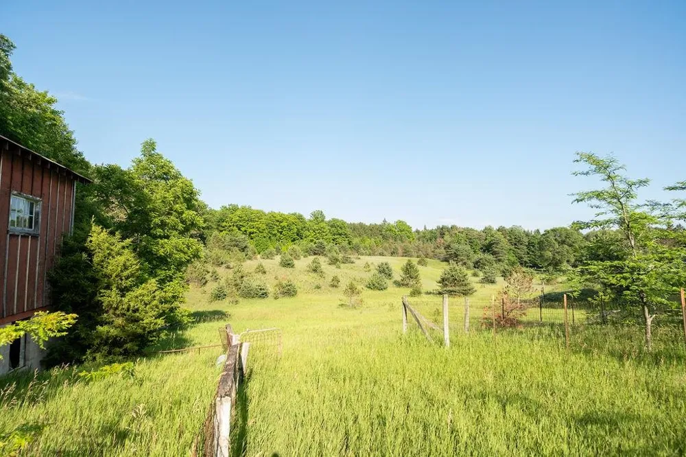 S M-37 Blair Township, MI 49685