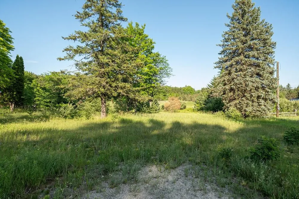 S M-37 Blair Township, MI 49685