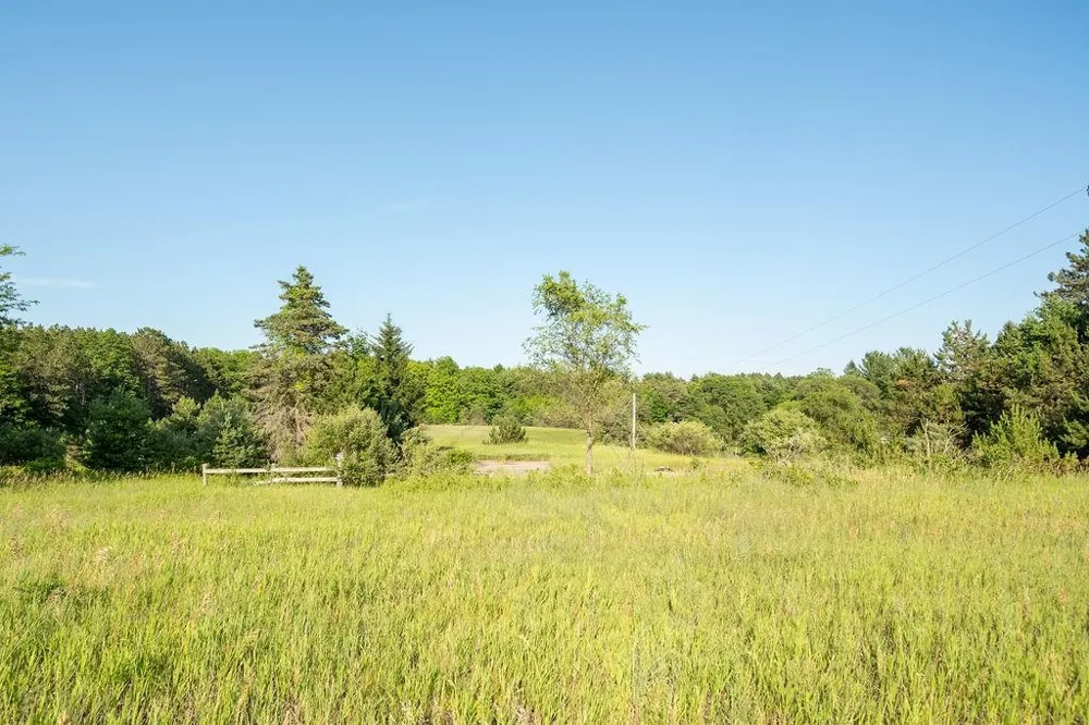 S M-37 Blair Township, MI 49685