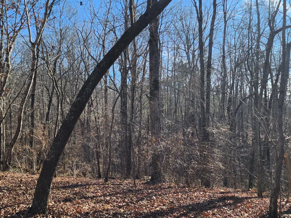 35 Road 9050 Mentone, AL 35984