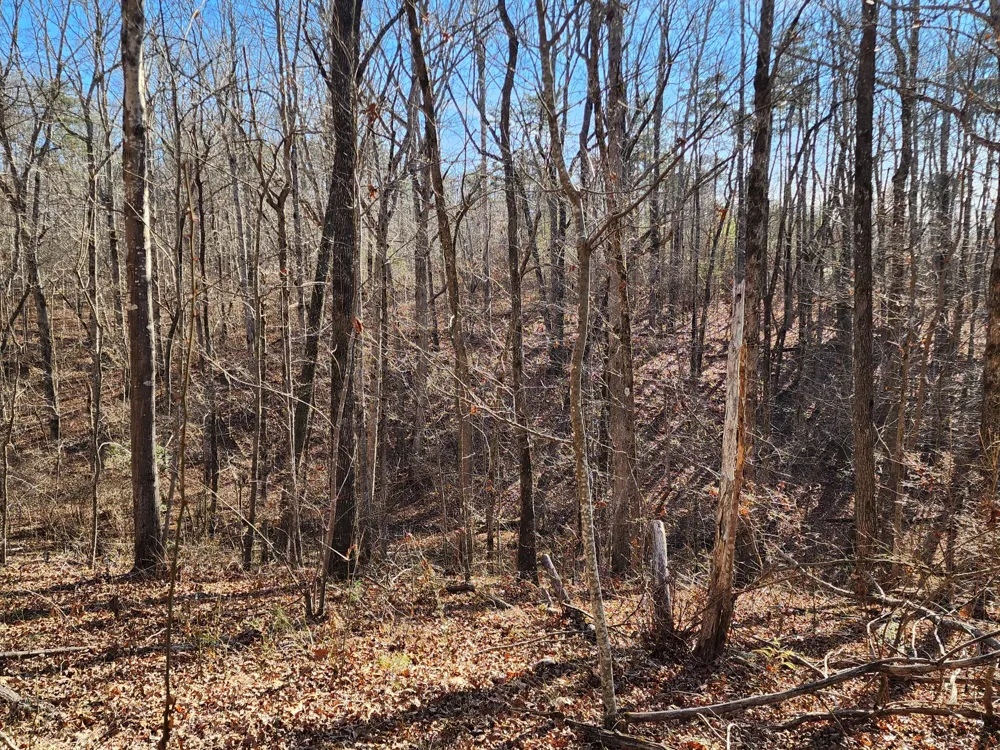 35 Road 9050 Mentone, AL 35984