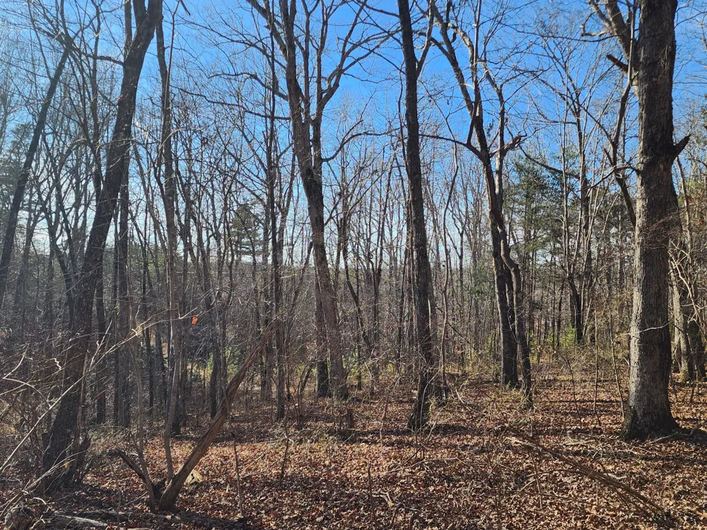 35 Road 9050 Mentone, AL 35984