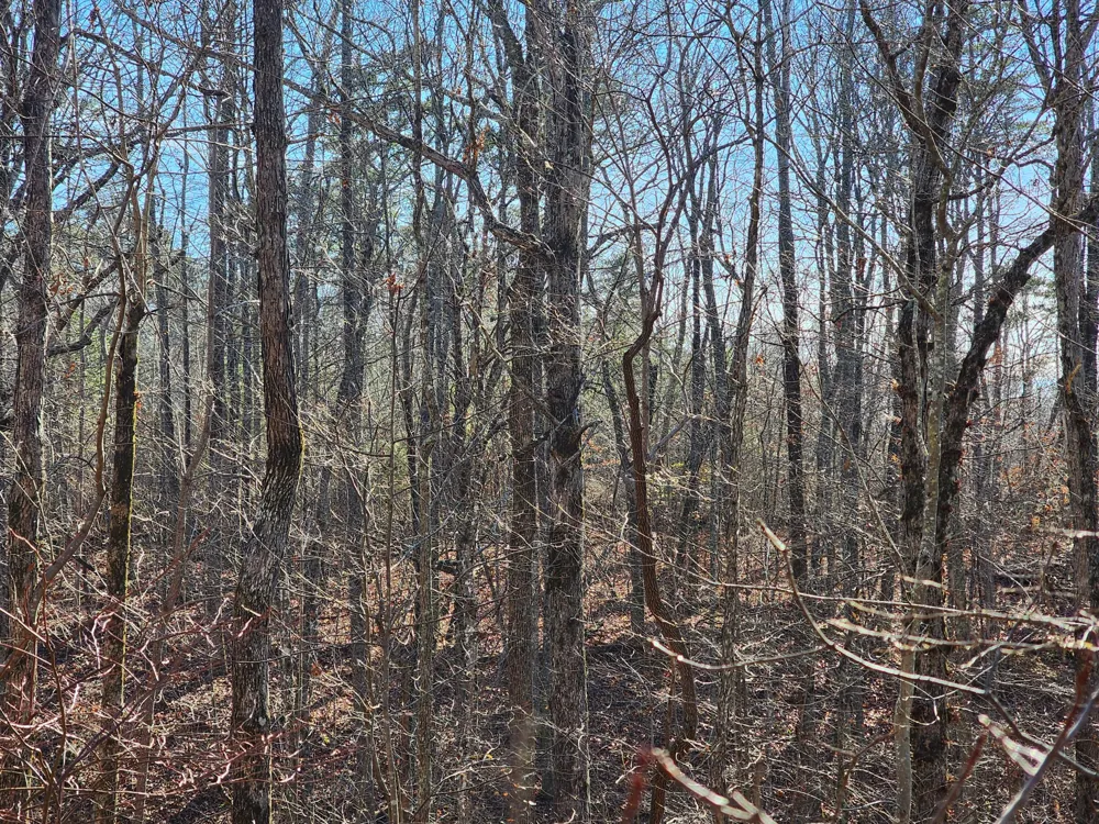 35 Road 9050 Mentone, AL 35984