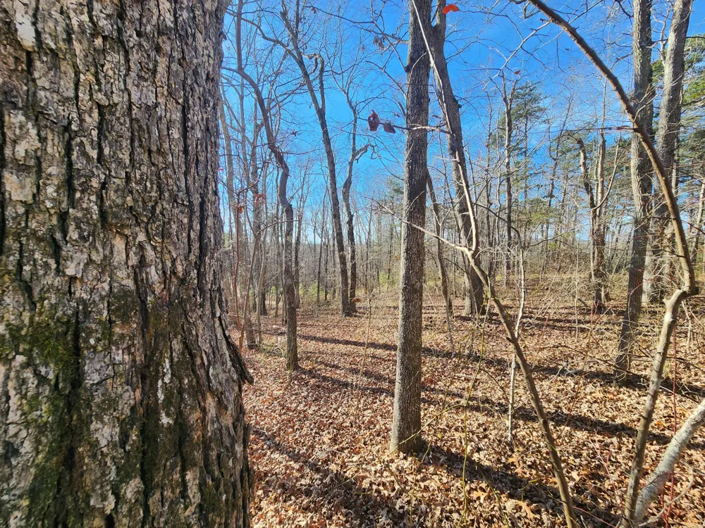 35 Road 9050 Mentone, AL 35984