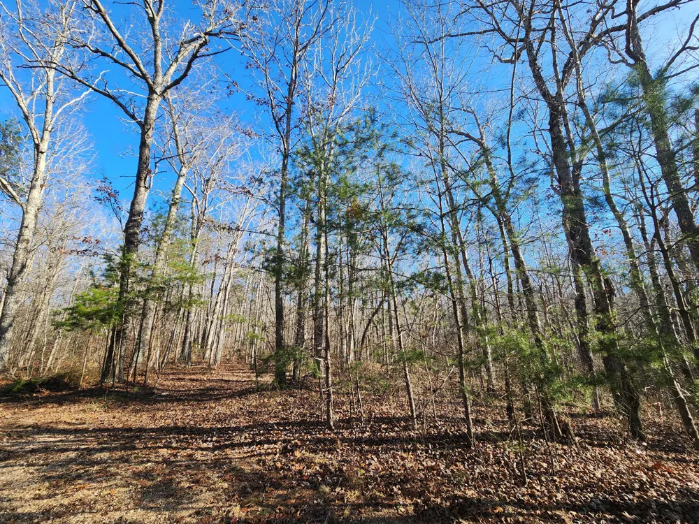 35 Road 9050 Mentone, AL 35984