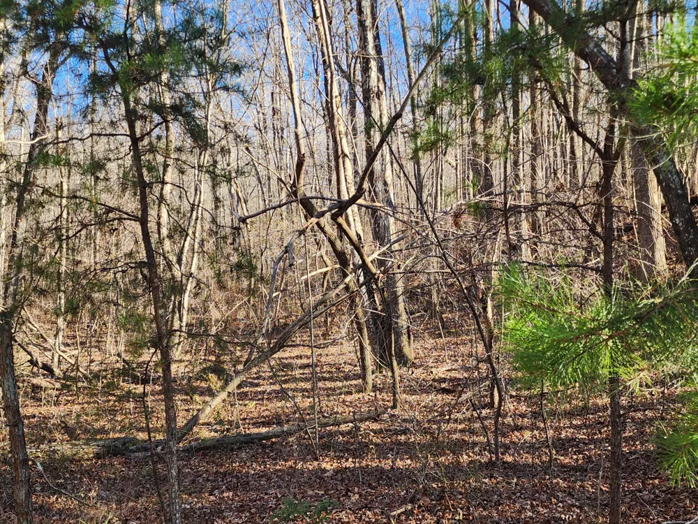 35 Road 9050 Mentone, AL 35984