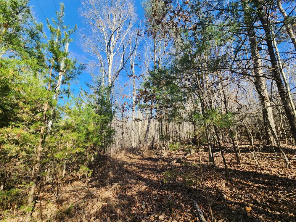 35 Road 9050 Mentone, AL 35984