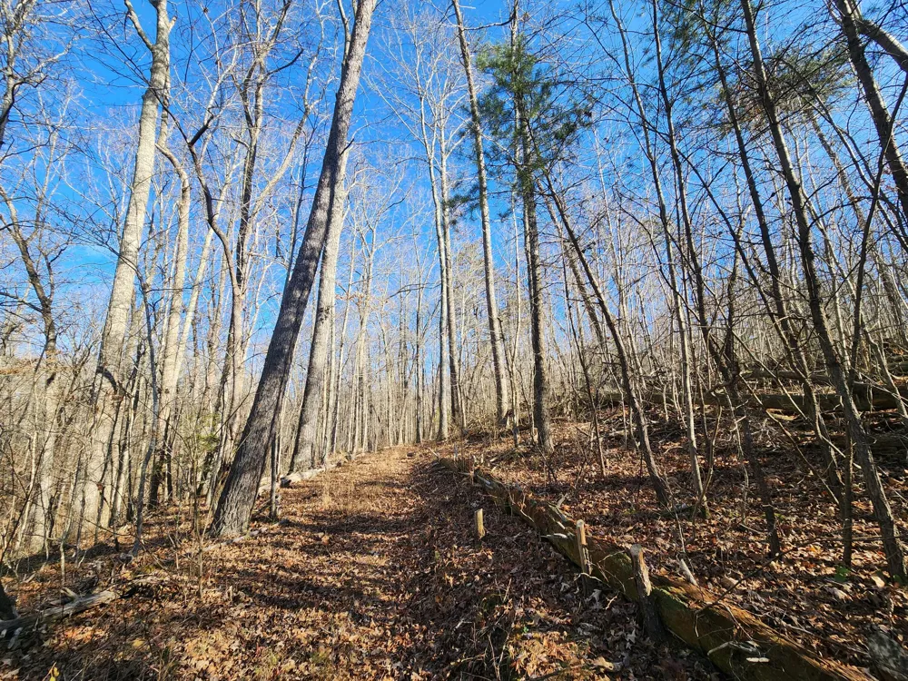 35 Road 9050 Mentone, AL 35984