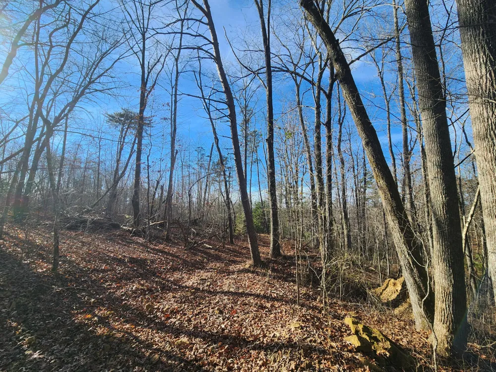 35 Road 9050 Mentone, AL 35984