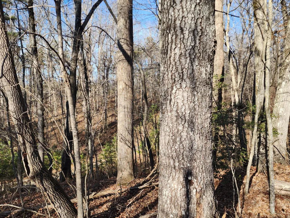 35 Road 9050 Mentone, AL 35984