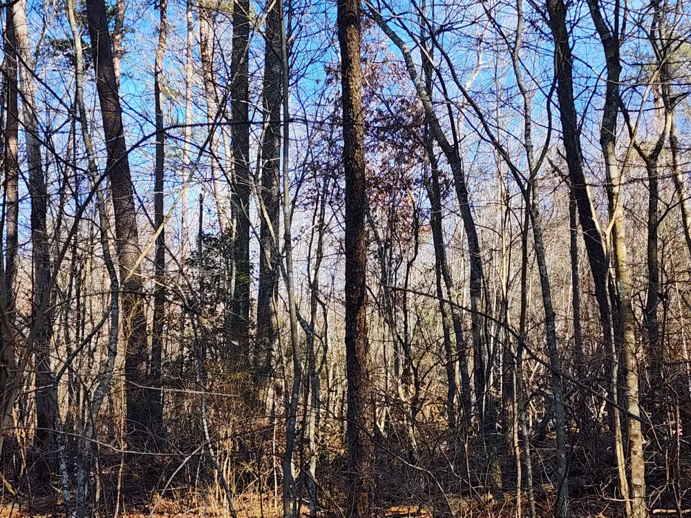 35 Road 9050 Mentone, AL 35984