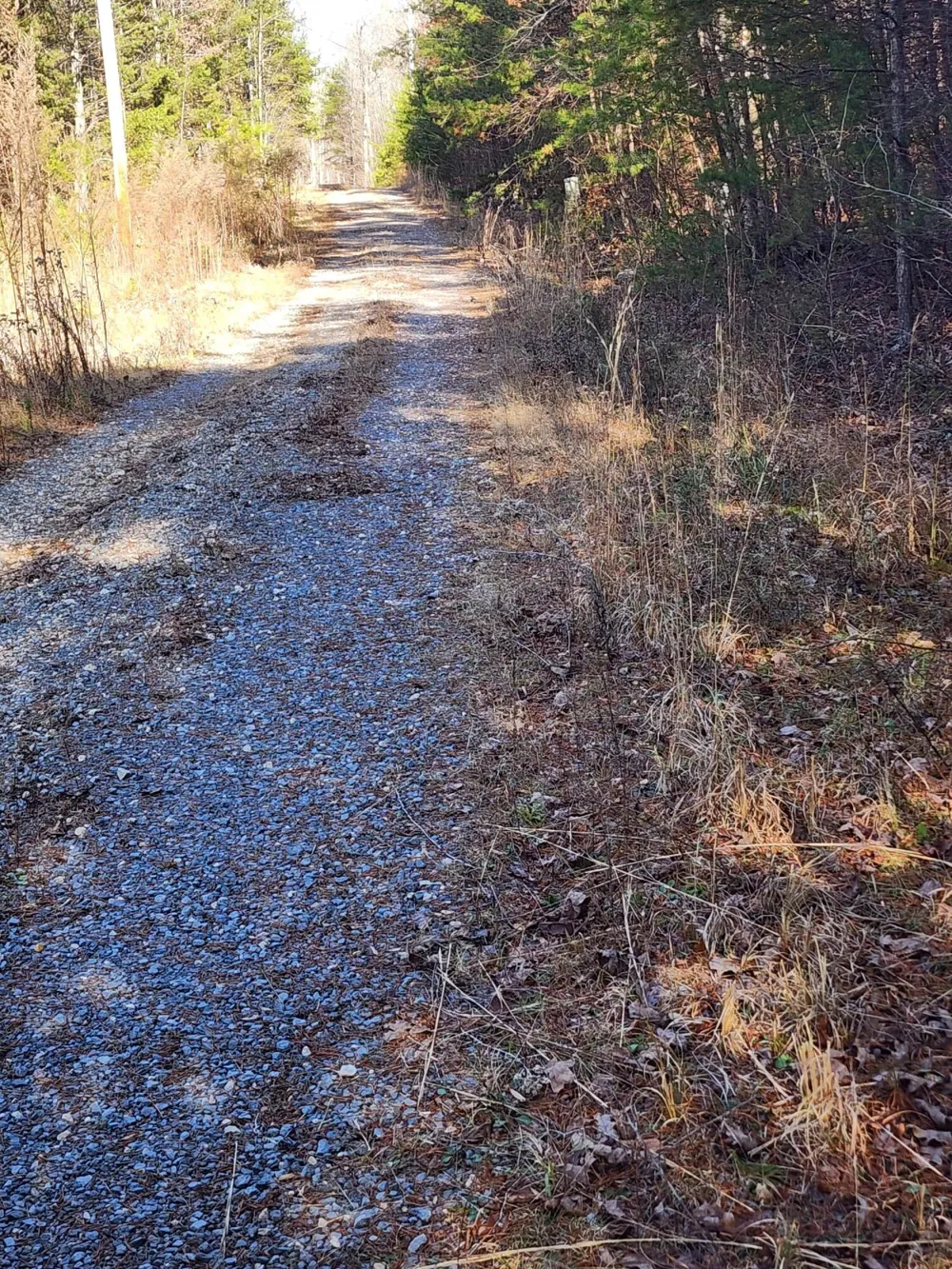 35 Road 9050 Mentone, AL 35984