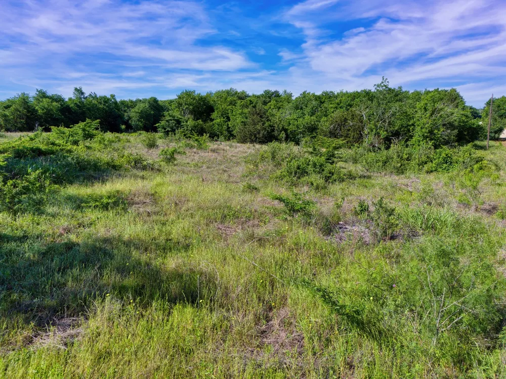 LCR 462 Mexia, TX 76667