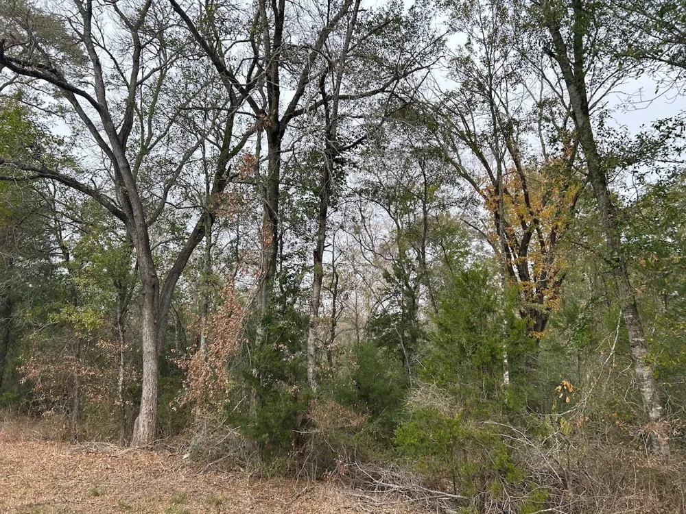 Fm-696 Caldwell, TX 77836