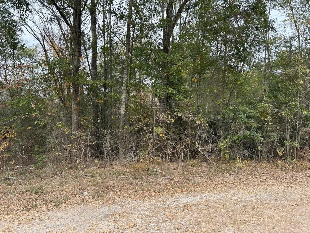 Fm-696 Caldwell, TX 77836