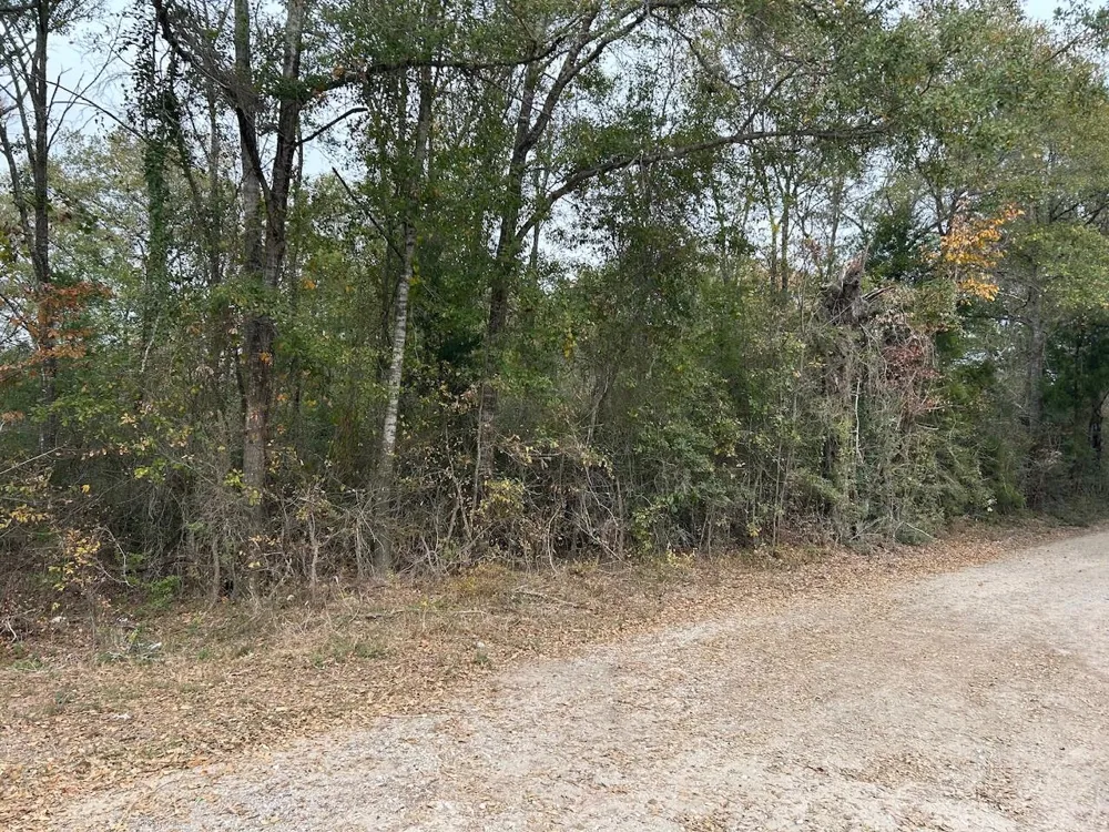 Fm-696 Caldwell, TX 77836