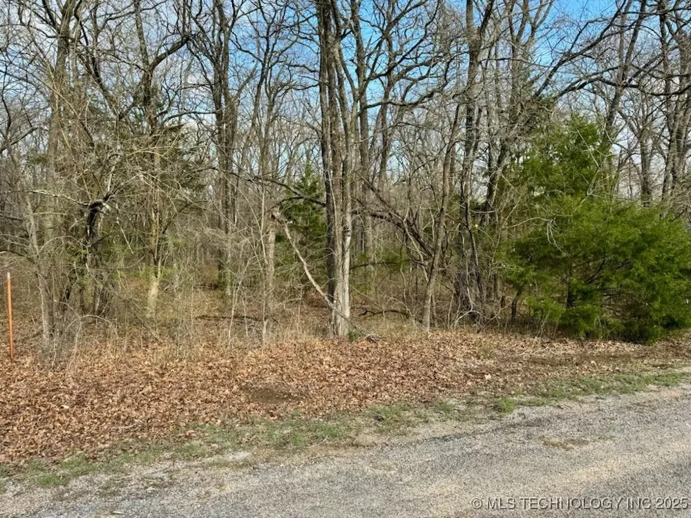 Mystic Oak Kingston, OK 73439