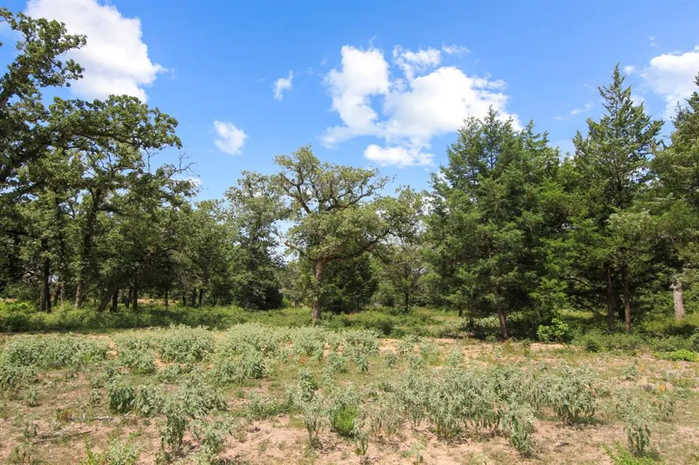 14 The Ranches at Woodland Trail Caldwell, TX 77836