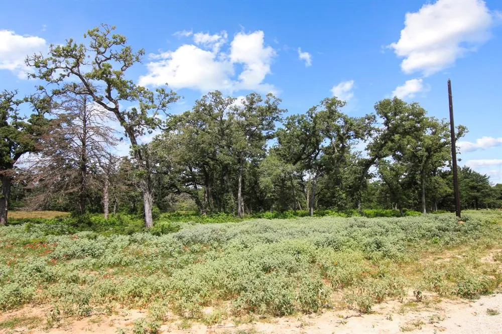 14 The Ranches at Woodland Trail Caldwell, TX 77836