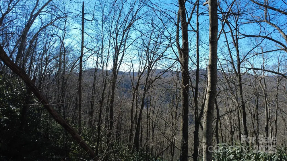 Lot 18 Joshua Road Rosman, NC 28772