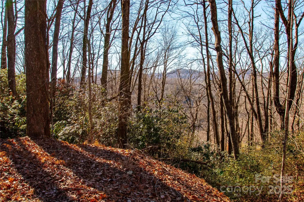 Lot 18 Joshua Road Rosman, NC 28772