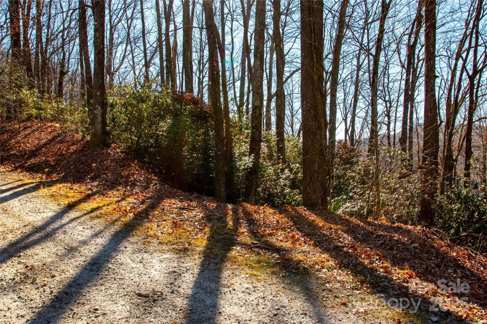 Lot 18 Joshua Road Rosman, NC 28772