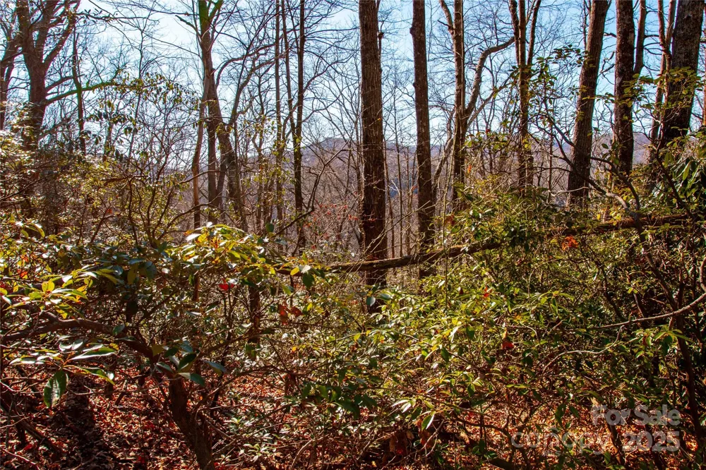 Lot 18 Joshua Road Rosman, NC 28772