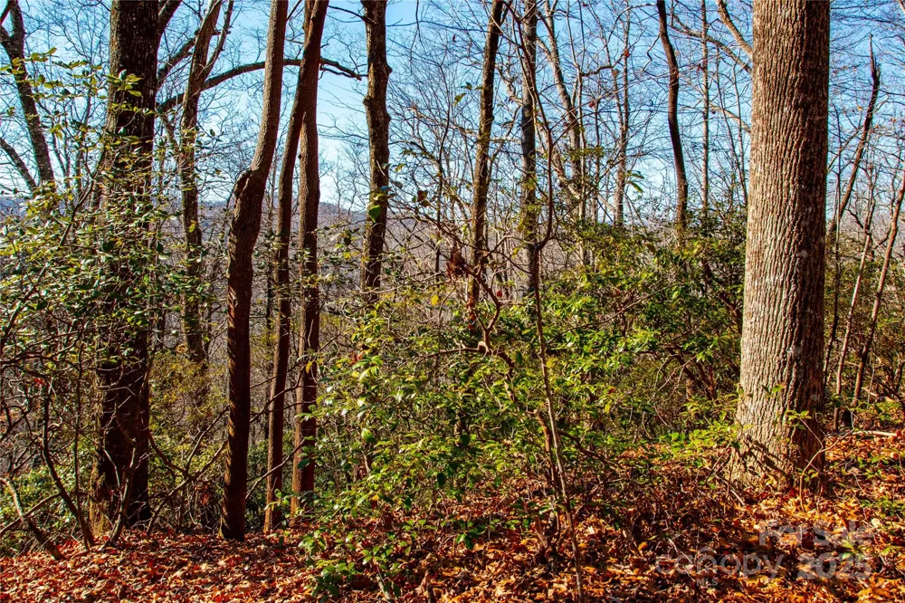Lot 18 Joshua Road Rosman, NC 28772