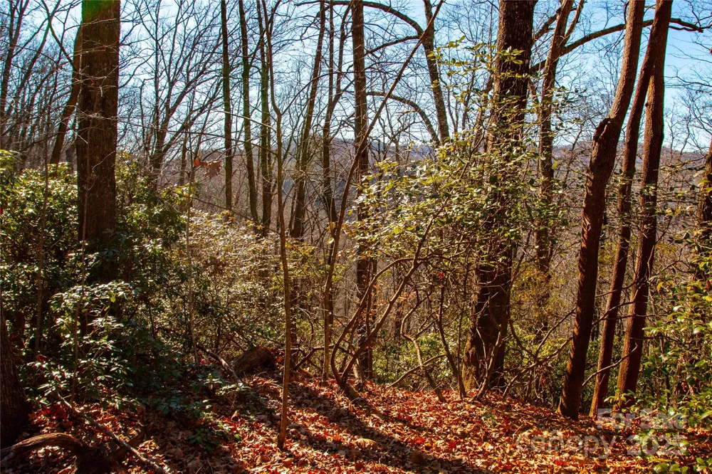 Lot 18 Joshua Road Rosman, NC 28772