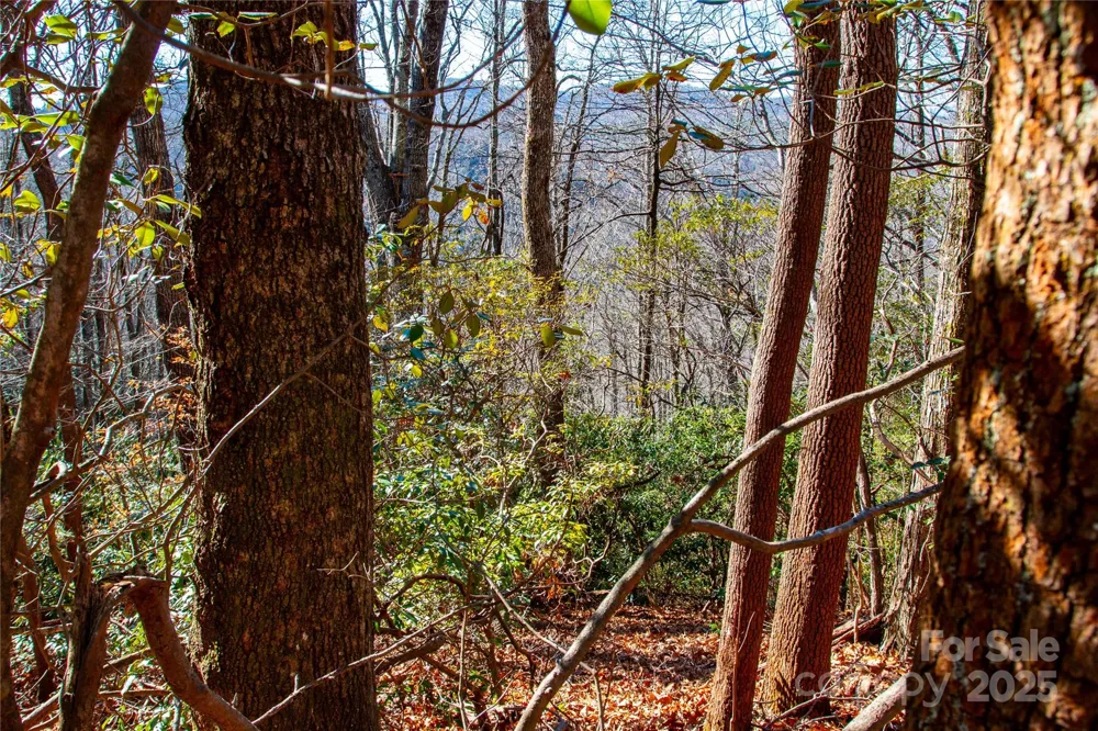 Lot 18 Joshua Road Rosman, NC 28772