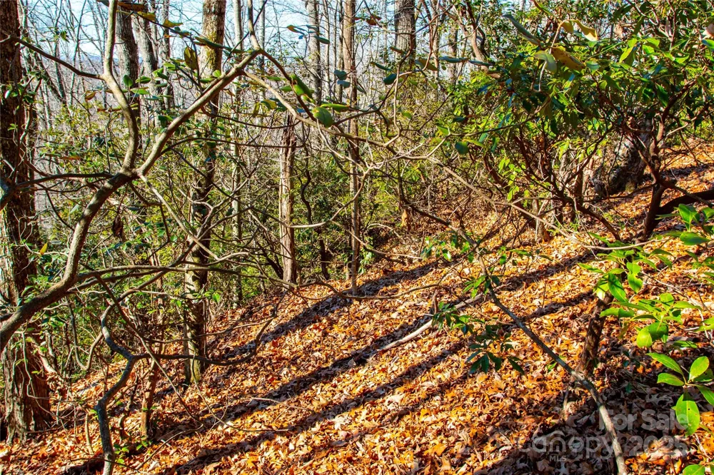 Lot 18 Joshua Road Rosman, NC 28772