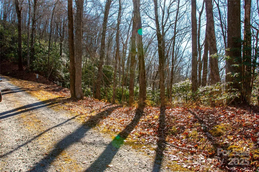 Lot 18 Joshua Road Rosman, NC 28772