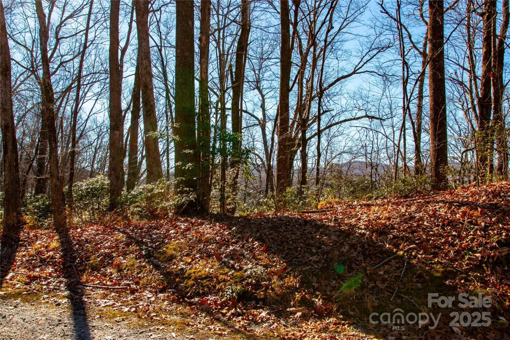 Lot 18 Joshua Road Rosman, NC 28772