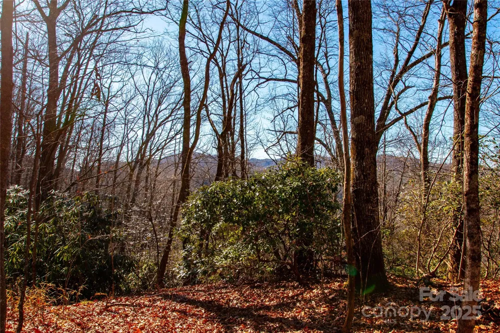 Lot 18 Joshua Road Rosman, NC 28772
