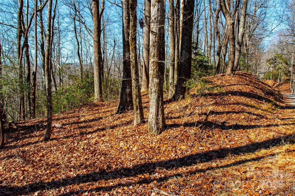 Lot 18 Joshua Road Rosman, NC 28772