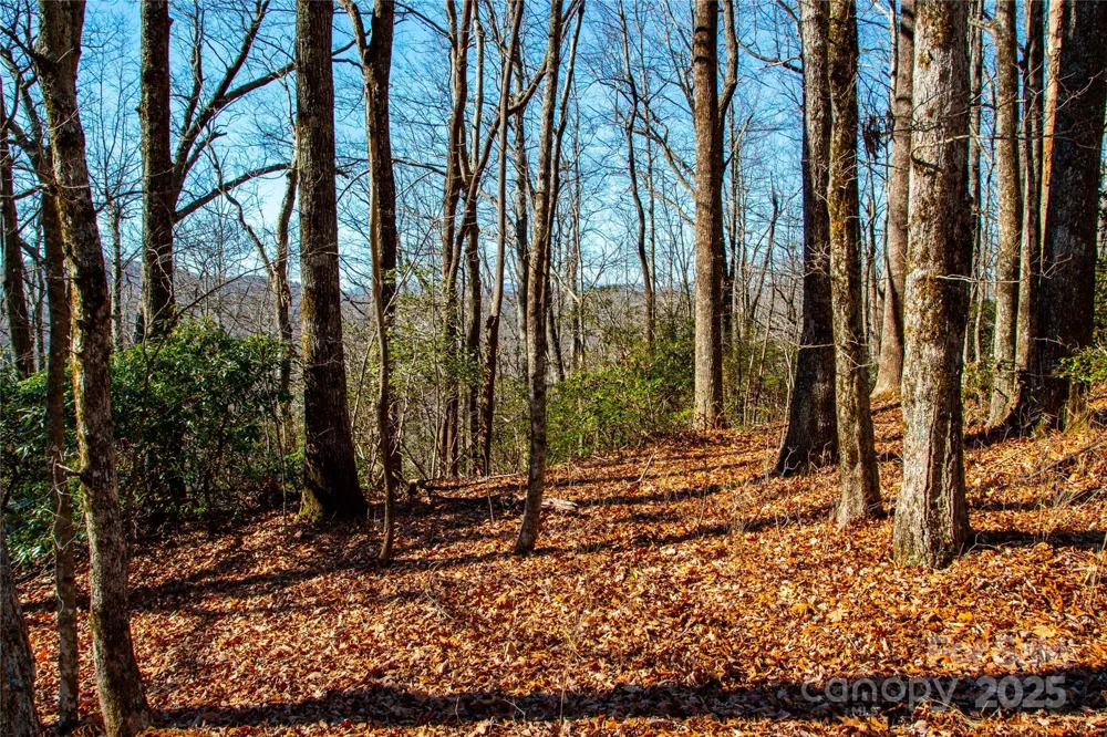 Lot 18 Joshua Road Rosman, NC 28772